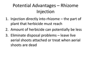 Potential Advantages – Rhizome
                Injection
1. Injection directly into rhizome – the part of
   plant that herbicide must reach
2. Amount of herbicide can potentially be less
3. Eliminate disposal problems – leave live
   aerial shoots attached or treat when aerial
   shoots are dead
 