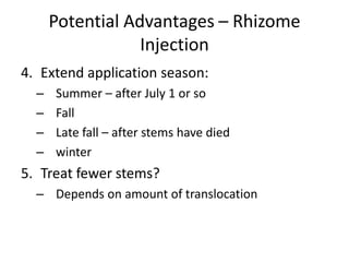 Potential Advantages – Rhizome
                  Injection
4. Extend application season:
  –   Summer – after July 1 or so
  –   Fall
  –   Late fall – after stems have died
  –   winter
5. Treat fewer stems?
  – Depends on amount of translocation
 