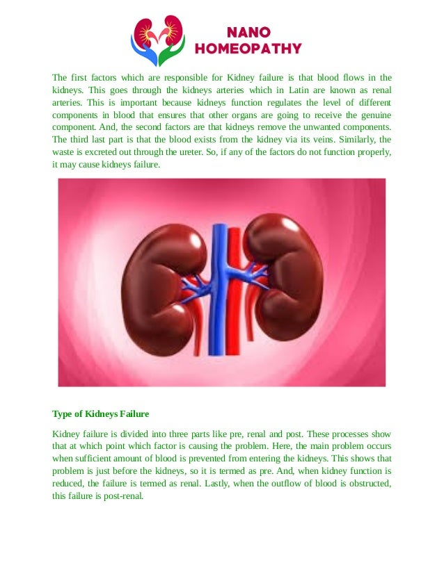 Know about kidney failure causes, symptoms and treatment
