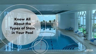 Know All
About the
Types of Stain
in Your Pool
 
