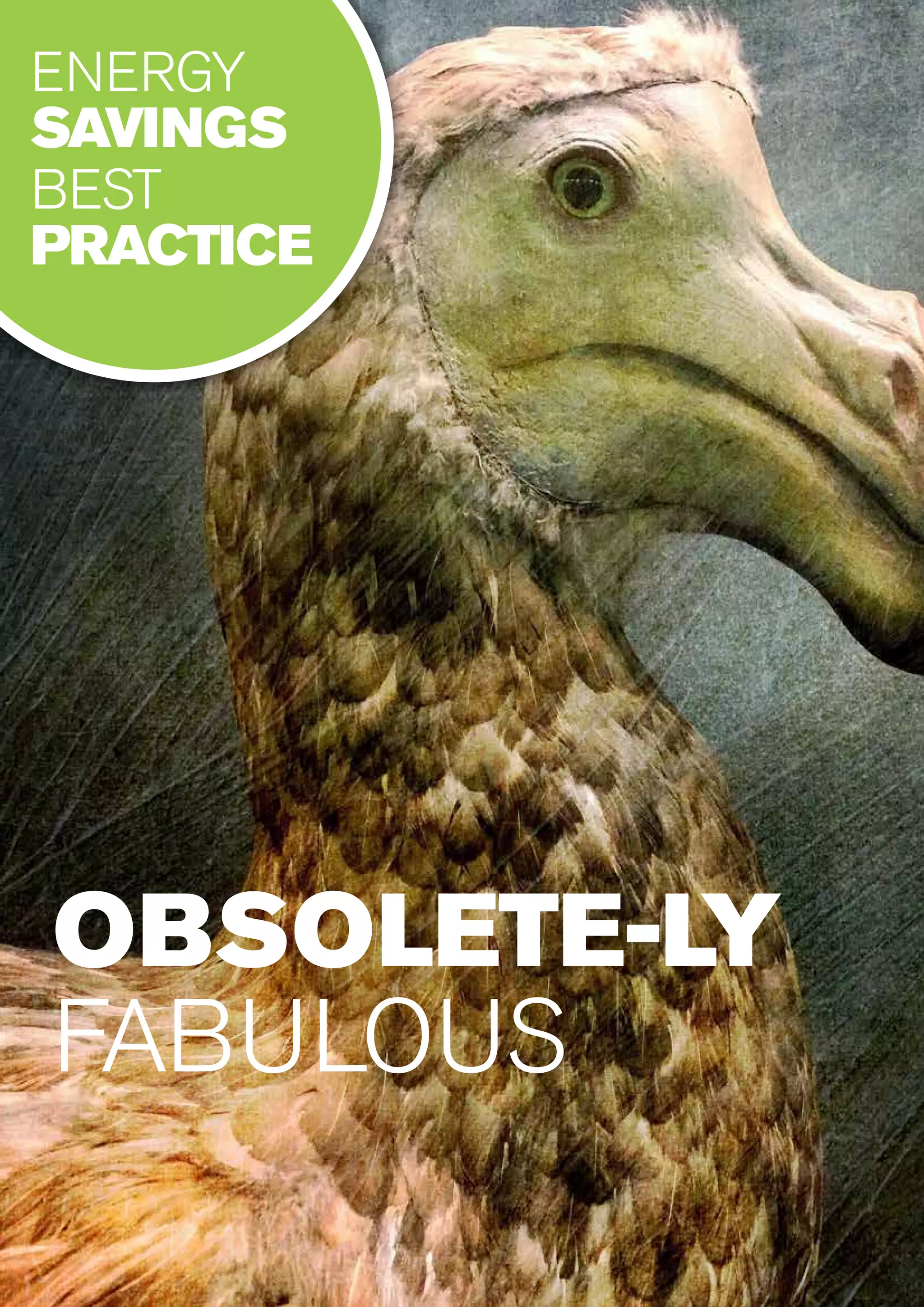Know-How : Issue 3240
OBSOLETE-LY
FABULOUS
ENERGY
SAVINGS
BEST
PRACTICE
 