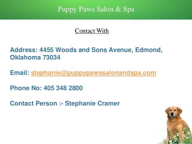 puppy paws edmond how to groom your pet at home puppy paws edmond how to groom your pet at home