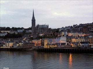 Cork 
