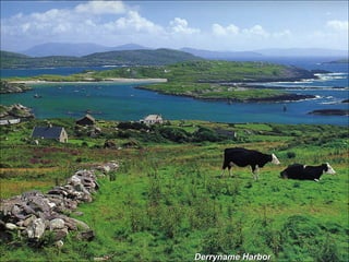 Derryname Harbor 