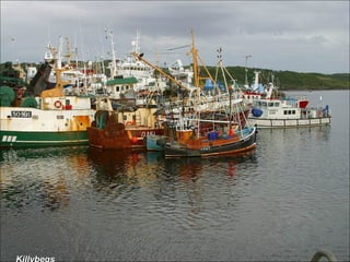 Killybegs 