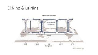 El Nino & La Nina
 