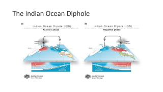 The Indian Ocean Diphole
 