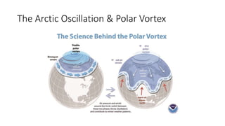The Arctic Oscillation & Polar Vortex
 