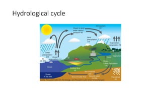 Hydrological cycle
 