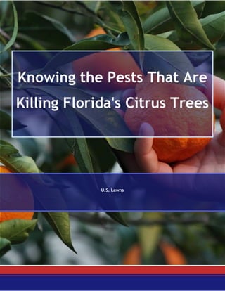 Knowing the Pests That Are
Killing Florida's Citrus Trees
U.S. Lawns
 