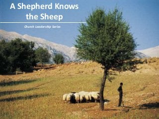 A Shepherd Knows
the Sheep
Church Leadership Series
 
