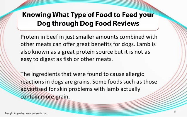 Ingredients In Dog Food That Cause Gas Ingredients In Dog Food That Cause Gas