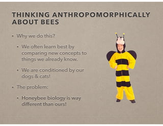 THINKING ANTHROPOMORPHICALLY
ABOUT BEES
• Why we do this?
• We often learn best by
comparing new concepts to
things we already know.
• We are conditioned by our
dogs & cats!
• The problem:
• Honeybee biology is way
different than ours!
 