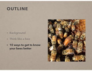 OUTLINE
• Background
• Think like a bee
• 10 ways to get to know
your bees better
 