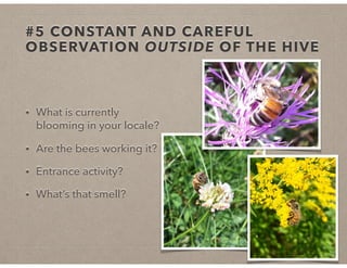 #5 CONSTANT AND CAREFUL
OBSERVATION OUTSIDE OF THE HIVE
• What is currently
blooming in your locale?
• Are the bees working it?
• Entrance activity?
• What’s that smell?
 