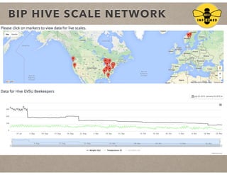 BIP HIVE SCALE NETWORK
 