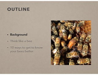 OUTLINE
• Background
• Think like a bee
• 10 ways to get to know
your bees better
 