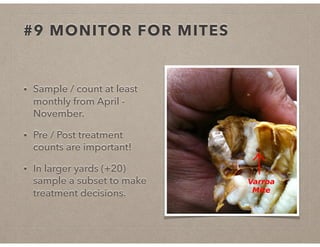 #9 MONITOR FOR MITES
• Sample / count at least
monthly from April -
November.
• Pre / Post treatment
counts are important!
• In larger yards (+20)
sample a subset to make
treatment decisions.
 