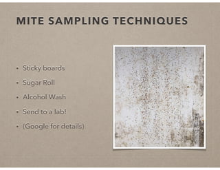 MITE SAMPLING TECHNIQUES
• Sticky boards
• Sugar Roll
• Alcohol Wash
• Send to a lab!
• (Google for details)
 