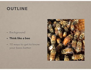 OUTLINE
• Background
• Think like a bee
• 10 ways to get to know
your bees better
 