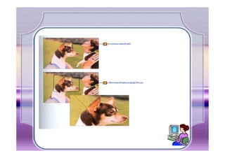 การสร้างงานด้วย Photoshop