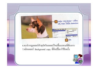 6.จะปรากฏเลเยอร์ หวสุ นขในเลเยอร์ ใหม่ขC ึนมาตามที.ตองการ
                   ั ั                               ้
                                   ็
7.คลิกเลเยอร์ Background copy ที.กอปปีC เอาไว้อีกครัCง
 