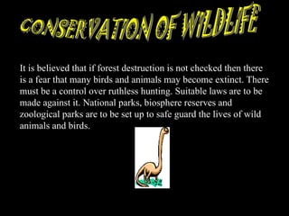 It is believed that if forest destruction is not checked then there
is a fear that many birds and animals may become extinct. There
must be a control over ruthless hunting. Suitable laws are to be
made against it. National parks, biosphere reserves and
zoological parks are to be set up to safe guard the lives of wild
animals and birds.
 