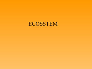 ECOSSTEM
 
