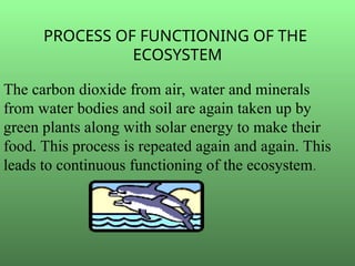 The carbon dioxide from air, water and minerals
from water bodies and soil are again taken up by
green plants along with solar energy to make their
food. This process is repeated again and again. This
leads to continuous functioning of the ecosystem.
PROCESS OF FUNCTIONING OF THE
ECOSYSTEM
 
