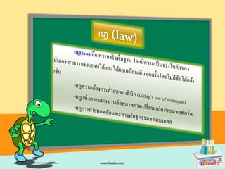 หน้ าถัดไป
 