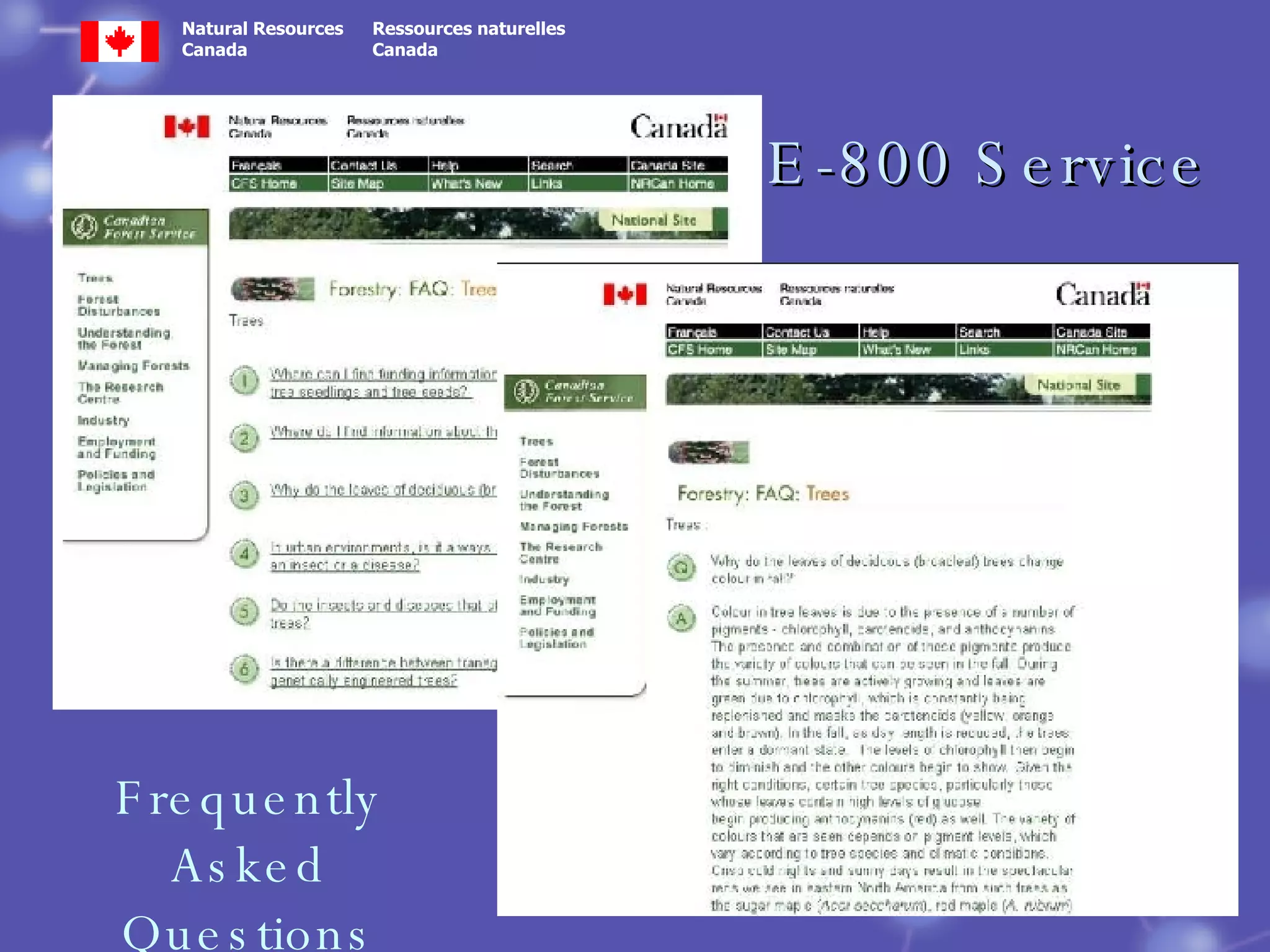 E-800 Service Frequently Asked Questions 