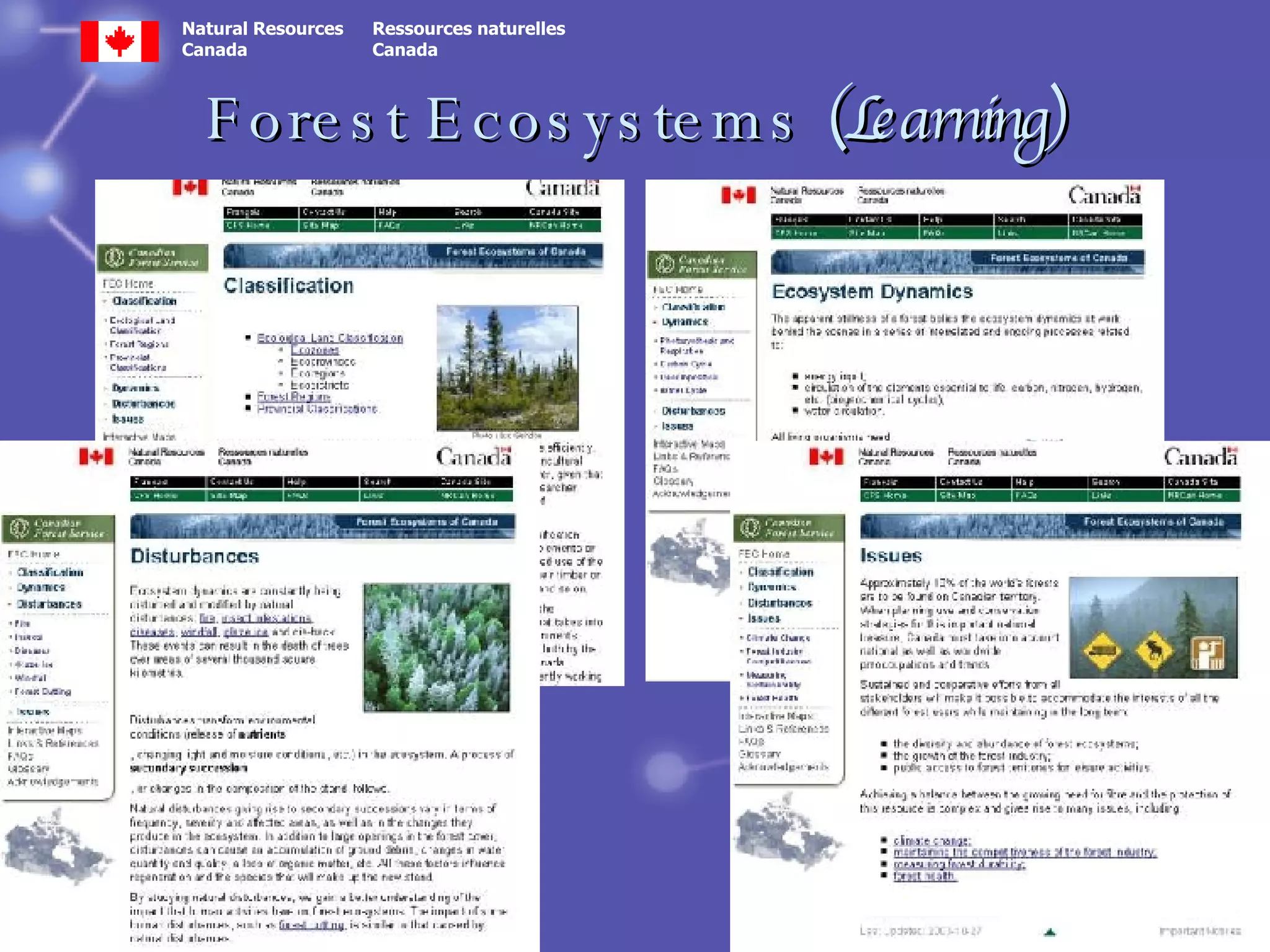 Forest Ecosystems  (Learning) 