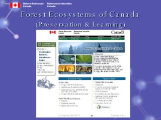Forest Ecosystems of Canada (Preservation & Learning) 