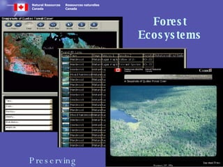 Forest Ecosystems Preserving Photographs 