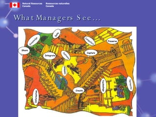 What Managers See… content Create Information Knowledge Data Capture Preserve Share Integrate Systems Computers Technology Networks 