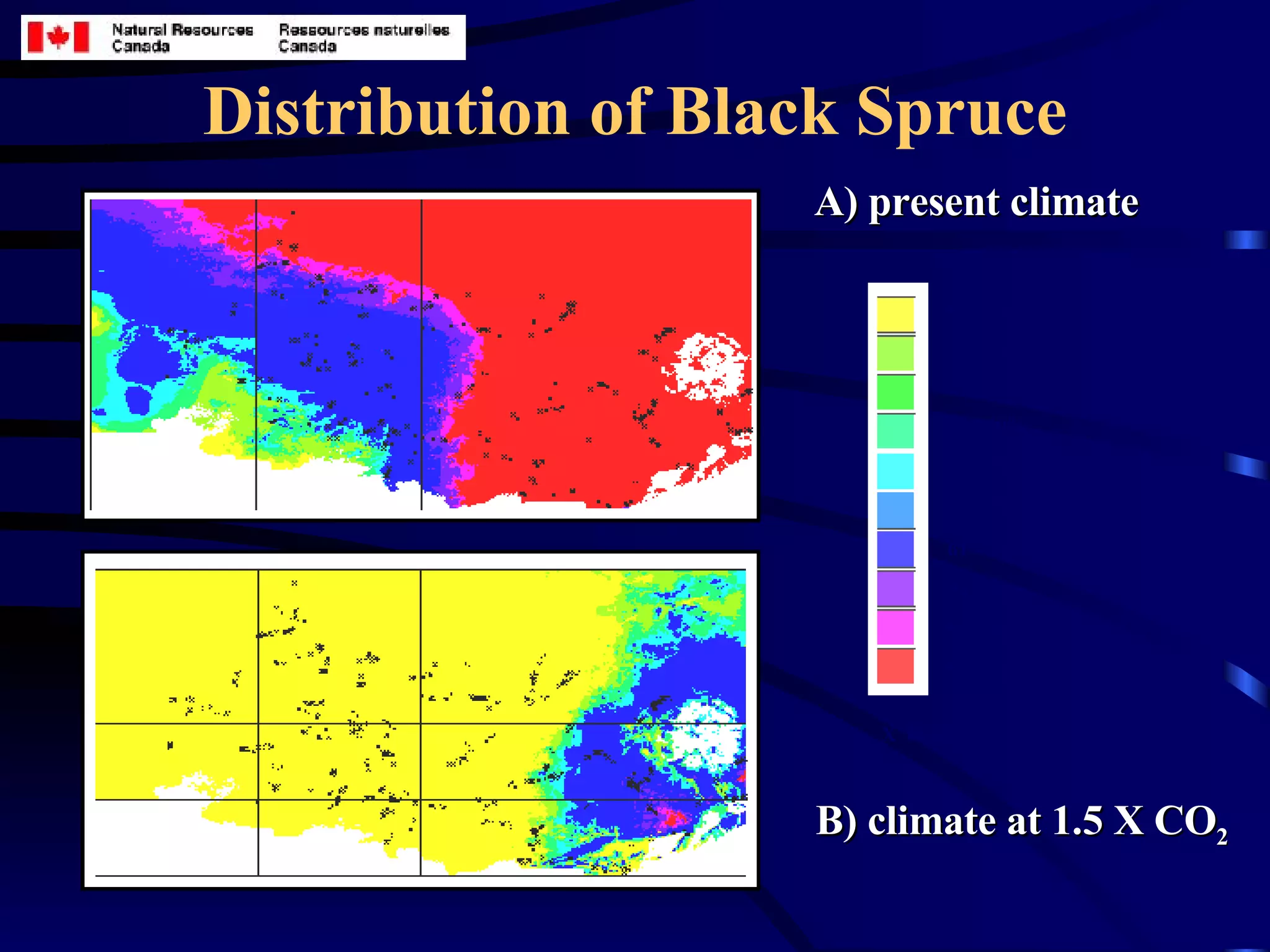 Distribution of Black Spruce B) climate at 1.5 X CO 2 A) present climate 0 - 10% 11 - 20% 21 - 30% 31 - 40% 41 - 50% 51 - 60% 61 - 70% 71 - 80% 81 - 90% 91 - 100% X  location of black spruce sites 