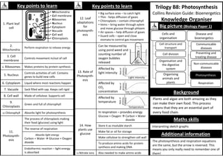 Trilogy B8: Photosynthesis
Collins Revision Guide: Bioenergetics
Knowledge Organiser
Maths skills
Key points to learn
1. Plant leaf
cell
• Mitochondria
• Cell membrane
• Ribosomes
• Nucleus
• Cytoplasm
• Vacuole
• Cell wall
• Chloroplasts
2.
Mitochondria
Perform respiration to release energy
3. Cell
membrane
Controls movement in/out of cell
4. Ribosomes Makes proteins by protein synthesis
5. Nucleus
Controls activities of cell. Contains
genes to build new cells
6. Cytoplasm Liquid where most reactions happen
7. Vacuole Sack filled with sap. Keeps cell rigid
8. Cell wall Made of cellulose. Supports cell
9.
Chloroplasts
Green and full of chlorophyll
10 Chlorophyll Absorbs light for photosynthesis
11.
Photosynth-
esis
The process of chloroplasts making
their food (glucose) using light
The reverse of respiration
Carbon + Water  Glucose + Oxygen
dioxide
Endothermic reaction – light energy
is absorbed
Key points to learn
12. Leaf
adaptations
for
photosynth-
esis
• Big surface area – to catch light
• Thin - helps diffusion of gases
• Chloroplasts – contain chlorophyll
• Veins – bring water through xylem
and move glucose through phloem
• Air spaces – help diffusion of gases
• Guard cells – open and close
stomata to control gas movement
13. Rate of
Photosynth-
esis
Can be measured by
using pond weed and
counting number of
oxygen bubbles
released
Affected by
light intensity
Affected by
CO2
concentration
Affected by
temperature
14. How
plants use
glucose
In respiration – provides energy
Glucose + Oxygen  Carbon + Water
dioxide
Store it as insoluble starch
Make fat or oil for storage
Make cellulose to strengthen cell wall
To produce amino acids for protein
synthesis and making DNA
15 Nitrate ions Also needed to make amino acids
Background
Big picture (Biology Paper 1)
Cell structure and
transport
Cell division
Organising
animals and
plants
Organisation and
the digestive
system
Cells and
organisation
Communicable
diseases
Preventing and
treating disease
Non-communicable
diseases
Disease and
bioenergetics
Photosynthesis
Respiration
Plants and algae are both amazing as they
can make their own food. This process
means that they are an essential part of
every food chain.
Interpreting sketch graphs
Absorbs light energy
Rate
of
photosy-
nthesis
Light intensity
Rate
of
photosy-
nthesis
CO2 Concentration
Rate
of
photosy-
nthesis
Temperature
Additional information
The photosynthesis and respiration equations
are the same, but the arrow is reversed. This
means you only really need to remember one of
them!
 