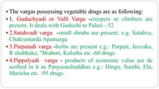  The vargas possessing vegetable drugs are as following:
 1. Guduchyadi or Valli Varga -creepers or climbers are
present. It deals with Guduchi to Palasi - 52
 2.Satahvadi varga -small shrubs are present. e.g. Satahva,
Chakramarda Apamarga
 3.Parpatadi varga -herbs are present e.g.: Parpati, Jeevaka,
R shabhaka, "Brahmi, Kulutha etc -60 drugs
 4.Pippalyadi varga - products of economic value are de
scribed in it as Panyaoushaddhas e.g.: Hingu, Sunthi, Ela,
Maricha etc. -95 drugs.
 
