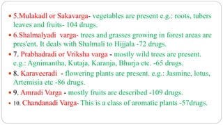  5.Mulakadl or Sakavarga- vegetables are present e.g.: roots, tubers
leaves and fruits- 104 drugs.
 6.Shalmalyadi varga- trees and grasses growing in forest areas are
pres'ent. It deals with Shalmali to Hijjala -72 drugs.
 7. Prabhadradi or Vriksha varga - mostly wild trees are present.
e.g.: Agnimantha, Kutaja, Karanja, Bhurja etc. -65 drugs.
 8. Karaveeradi - flowering plants are present. e.g.: Jasmine, lotus,
Artemisia etc -86 drugs.
 9. Amradi Varga - mostly fruits are described -109 drugs.
 10. Chandanadi Varga- This is a class of aromatic plants -57drugs.
 