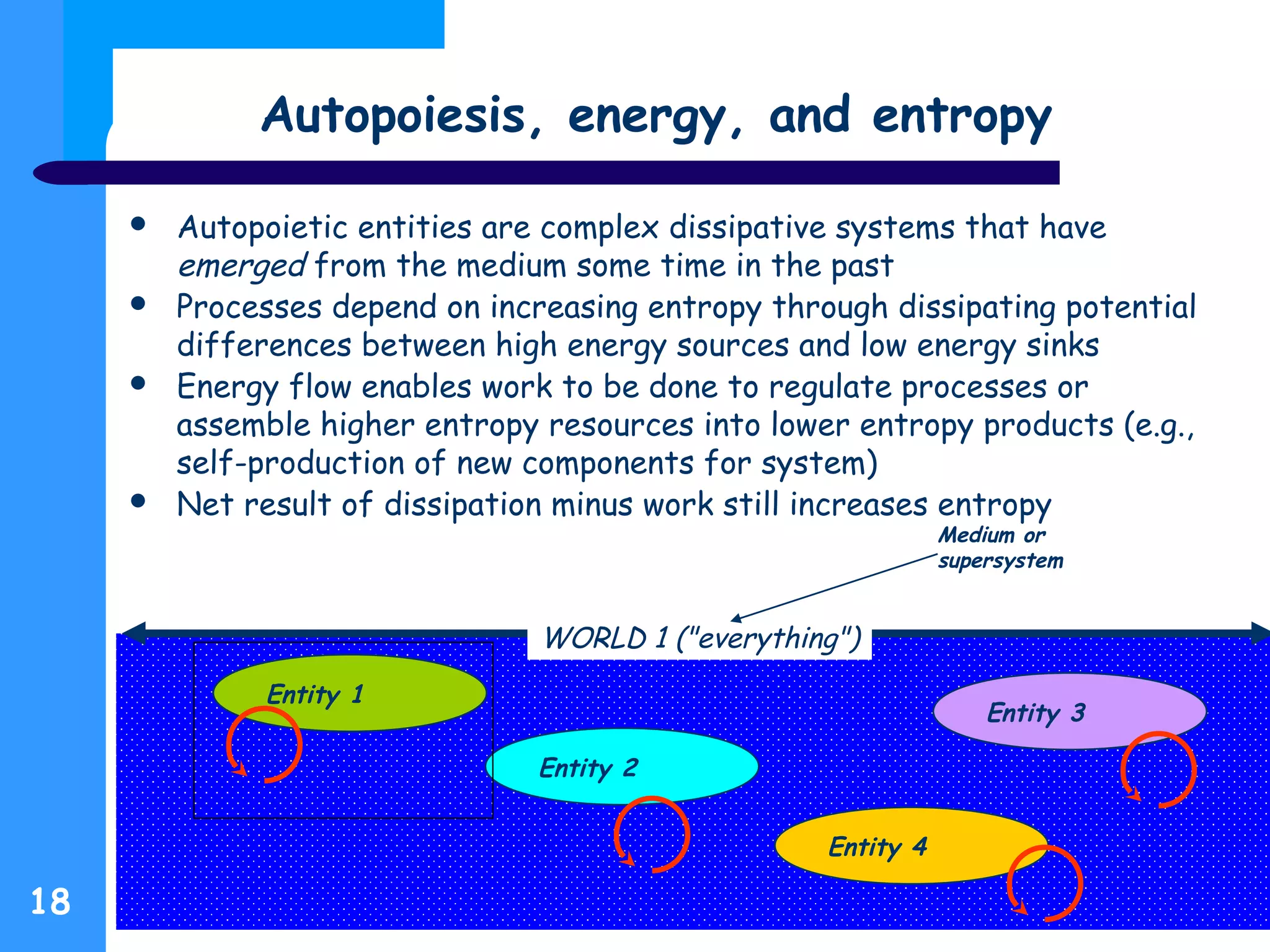 Autopoiesis, energy, and entropy
 Autopoietic entities are complex dissipative systems that have
emerged from the medium some time in the past
 Processes depend on increasing entropy through dissipating potential
differences between high energy sources and low energy sinks
 Energy flow enables work to be done to regulate processes or
assemble higher entropy resources into lower entropy products (e.g.,
self-production of new components for system)
 Net result of dissipation minus work still increases entropy
18
WORLD 1 ("everything")
Medium or
supersystem
Entity 1
Entity 3
Entity 2
Entity 4
 
