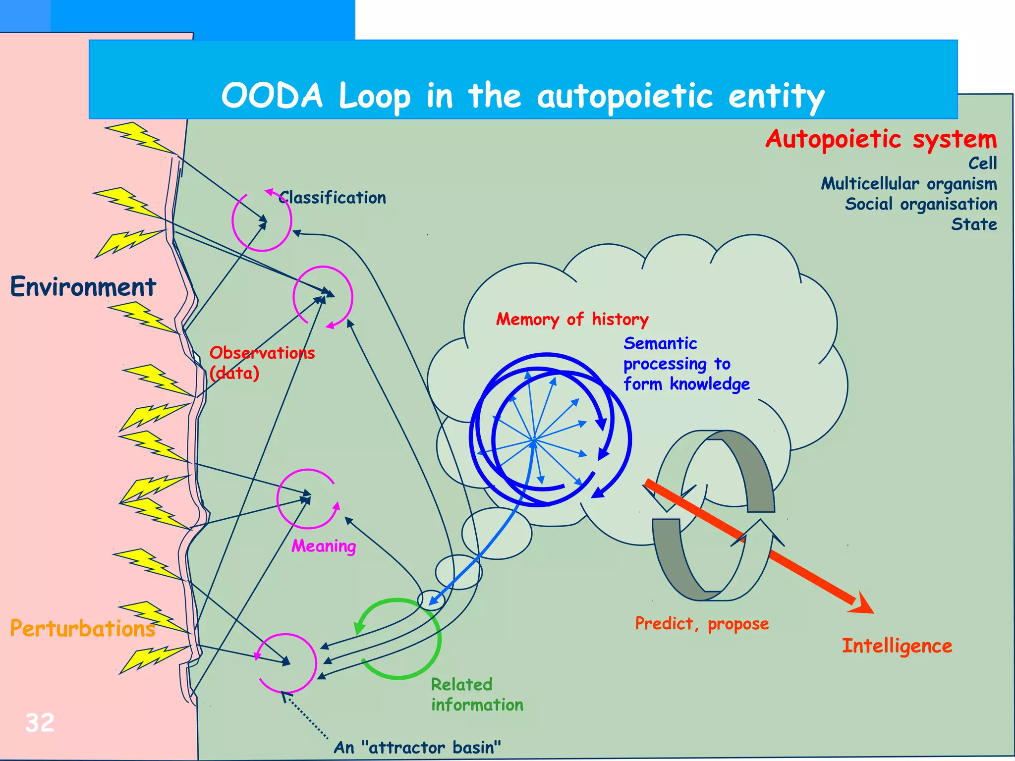 OODA Loop in the autopoietic entity
32
Environment
Autopoietic system
Cell
Multicellular organism
Social organisation
State
Perturbations
Observations
(data)
Classification
Meaning
An "attractor basin"
Related
information
Memory of history
Semantic
processing to
form knowledge
Predict, propose
Intelligence
 