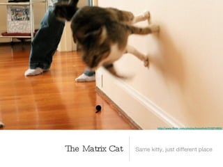 Leadership challenges

• Need for employee development increases.


• Traditional delivery vehicles costly at the scale needed.


• Leaders now responsible for the development of direct reports.


• Leaders must develop as employees, too.


• Leaders still have to bring the rain.
 