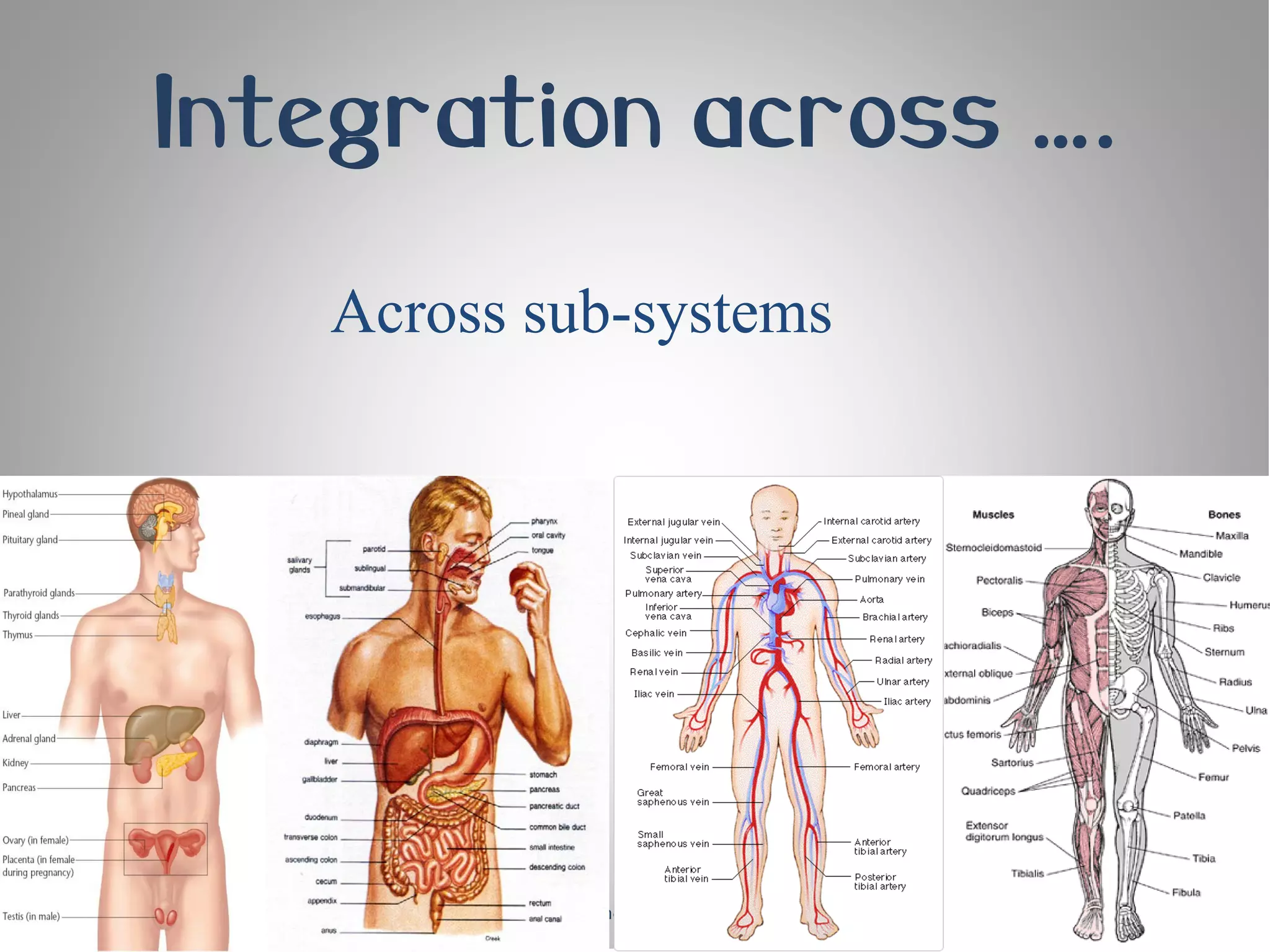 Integration across ….
   Across sub-systems




      IS Masters – MIS – Knowledge Management, 2010
 