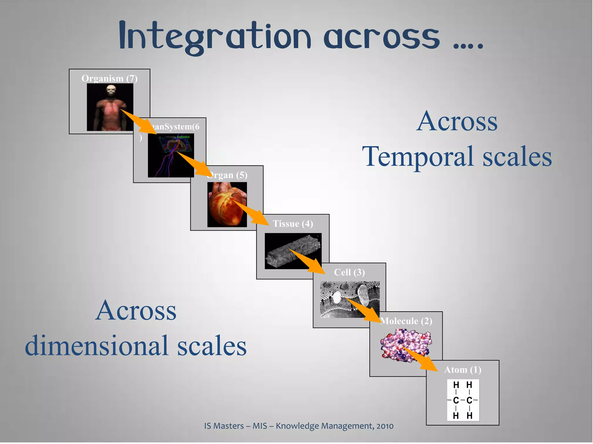Integration across ….
    Organism (7)



                   OrganSystem(6
                   )
                                                                           Across
                                   Organ (5)
                                                                        Temporal scales

                                                   Tissue (4)



                                                                 Cell (3)



     Across                                                                 Molecule (2)


dimensional scales
                                                                                           Atom (1)
                                                                                            H H
                                                                                            C C
                                                                                            H H
                                   IS Masters – MIS – Knowledge Management, 2010
 