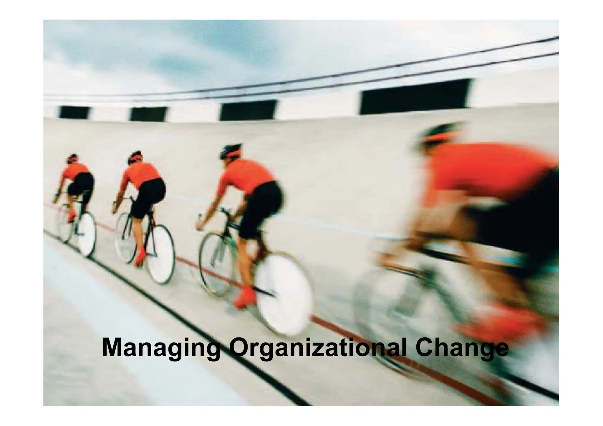Managing Organizational Change
 