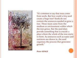 “ It’s common to say that trees come from seeds. But how could a tiny seed create a huge tree? Seeds do not contain the resources needed to grow a tree. These must come from the medium or environment within which the tree grows. But the seed does provide something that is crucial: a place where the whole of the tree starts to form. As resources such as water and nutrients are drawn in, the seed organizes the process that generates growth.”  Peter SENGE  