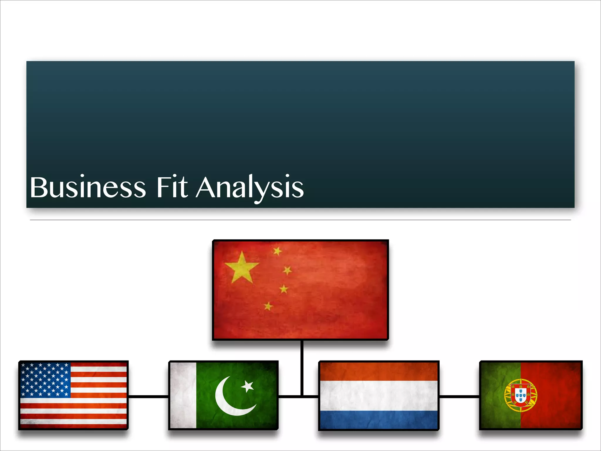 Business Fit Analysis
 