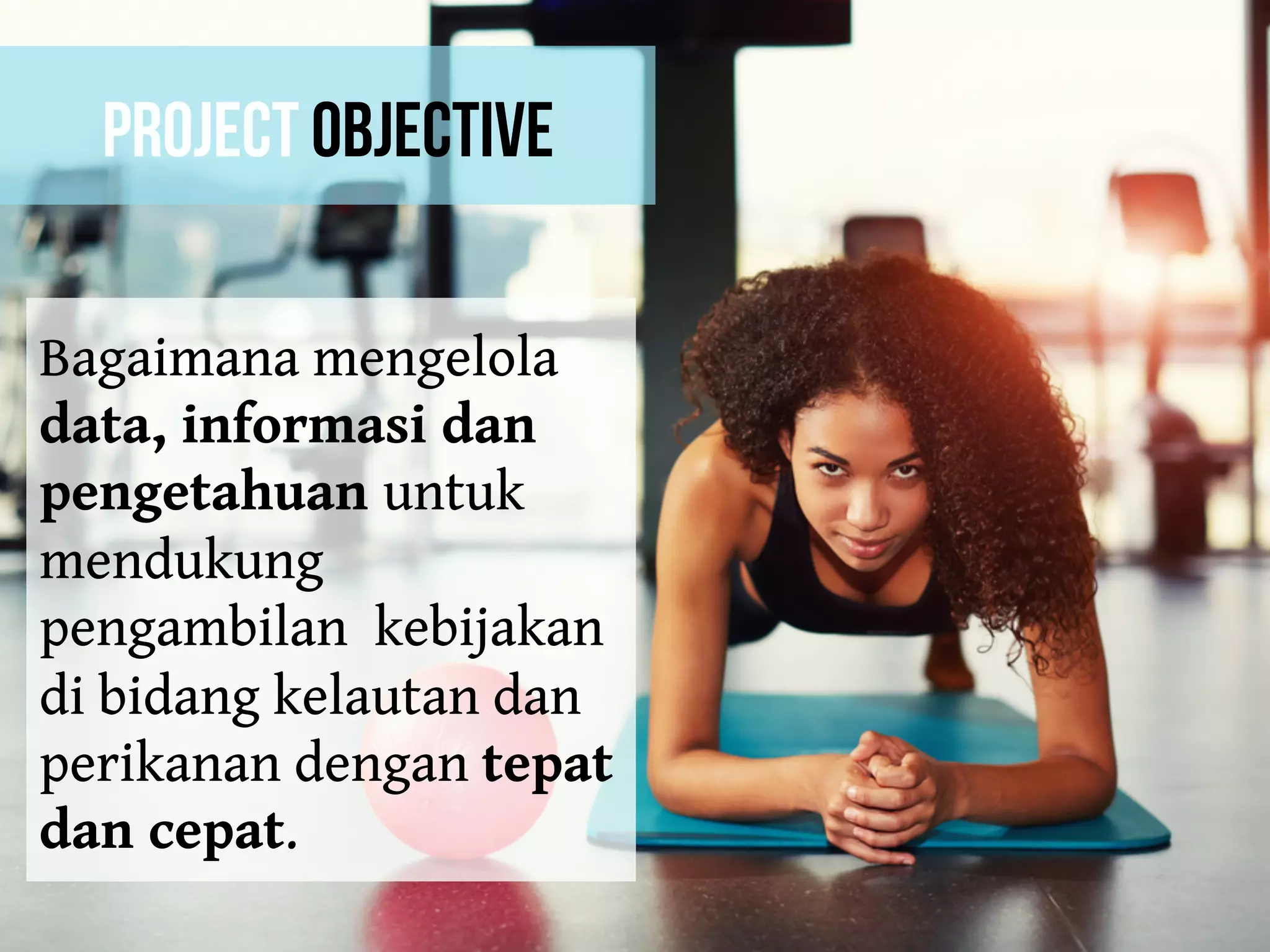 Project Objective
Bagaimana mengelola
data, informasi dan
pengetahuan untuk
mendukung
pengambilan kebijakan
di bidang kelautan dan
perikanan dengan tepat
dan cepat.
 