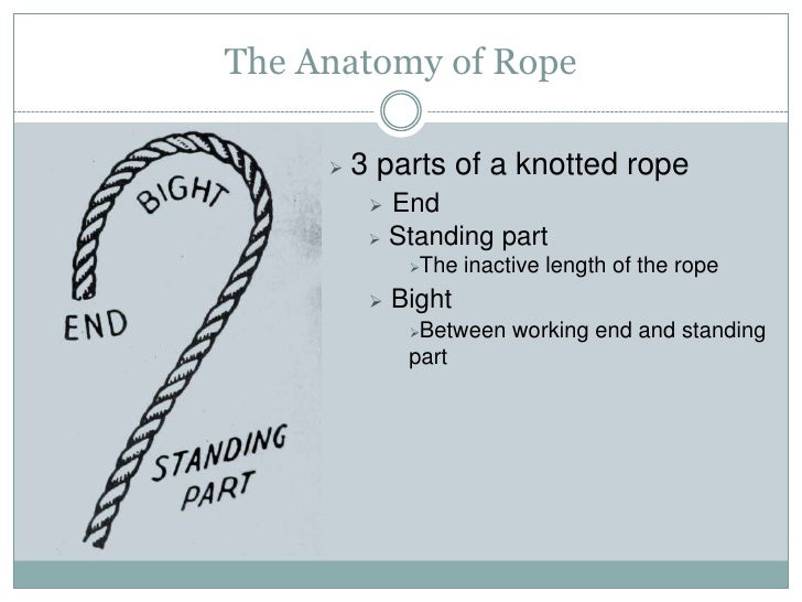 Knowledge Share Knots