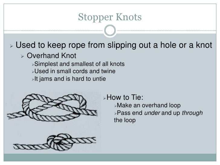 Knowledge Share Knots